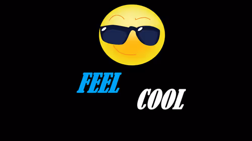 Untitled Collection #208305309