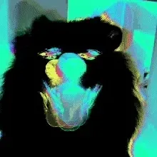 NftdogLover#4