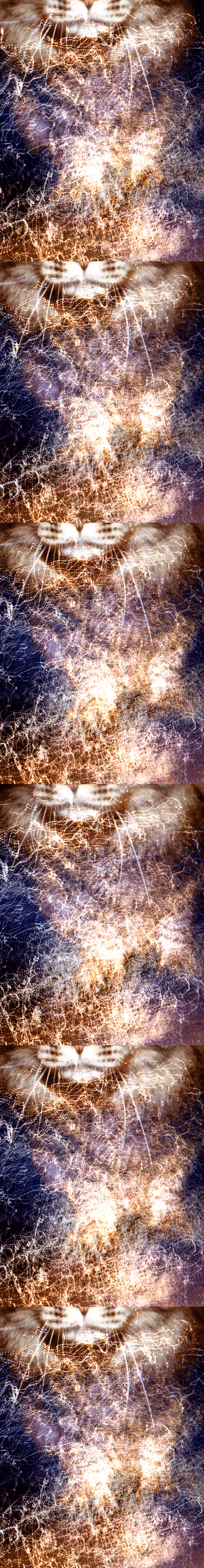 Item #46677297122039031221449977847173365421667821442589389250428357140604457582593 Media