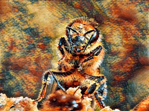 Item #101599579626109009666607068920778550362968334718480795982881728463868943925249 Media