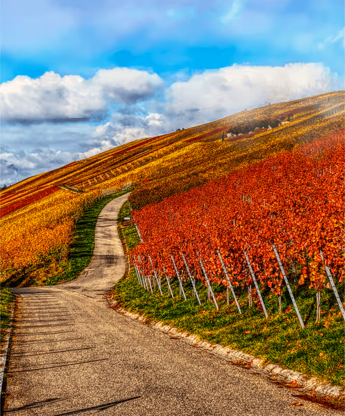 Item #78057569613769724222817387302861952882646900941806571769939669921755276771329 Media