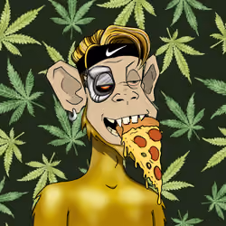 MONKEYHYPE #4196
