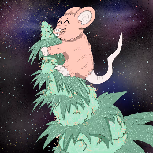 Lil Buddy Rat