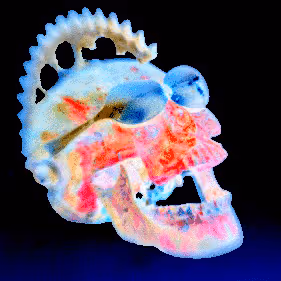 Item #43285704890229129405120454528472841212308233019022044035391579444541420209128 Media