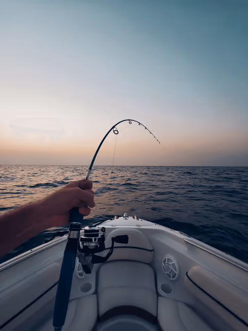 Item #112667008341302243302689137385956133130618064470449479276921417605176837013505 Media