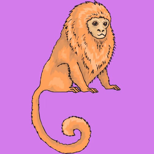 Item #22409191629958184974528791695107268175049955152270673158424678446427573059585 Media