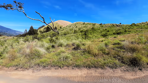 Item #78774018974347764357765192518377150739749637856503949941232678413875539869697 Media