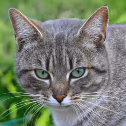 106393158711752592444527764053332067386103257112262188176365268254464407502849