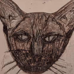 Volatile Cat