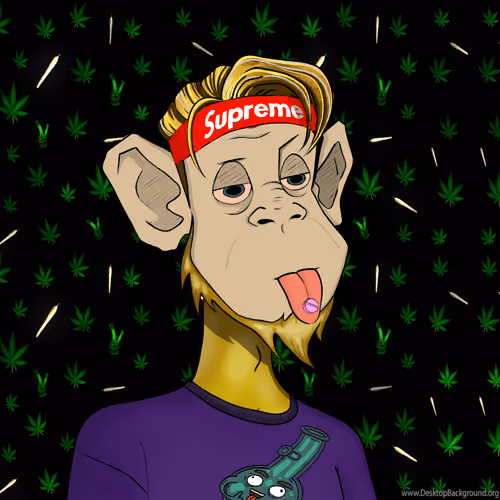 MONKEYHYPE #1822