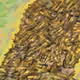 110040502401638372685324702397044656435030328531868233148354208963631897378817