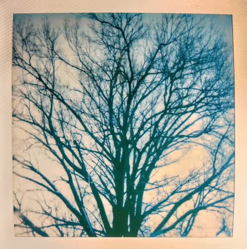 Item #28380632558890672220160445167317578754451912091094805389594769766772518158337 Media