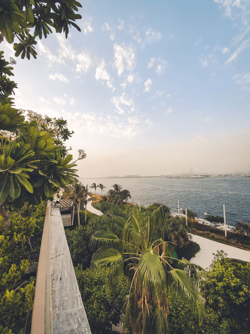 Item #112667008341302243302689137385956133130618064470449479276921417606276348641281 Media