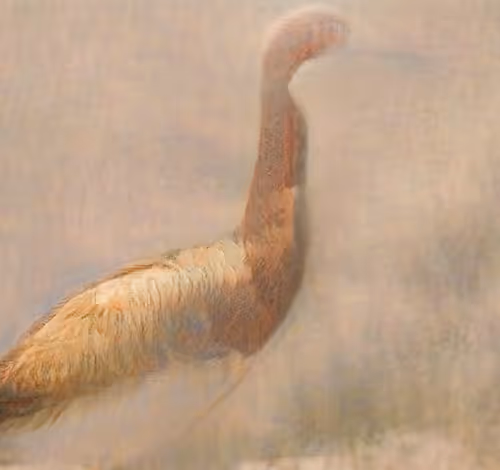 Item #81389452228015721923544690746270190594299388963234071450728085729678326759429 Media