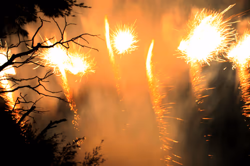 Item #66287107933414317534982190066107327807963903563540774280285349304417048854529 Media