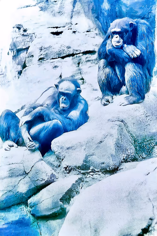 Item #105394010161551018097936078642910549059002323015222353178191529708338387353601 Media