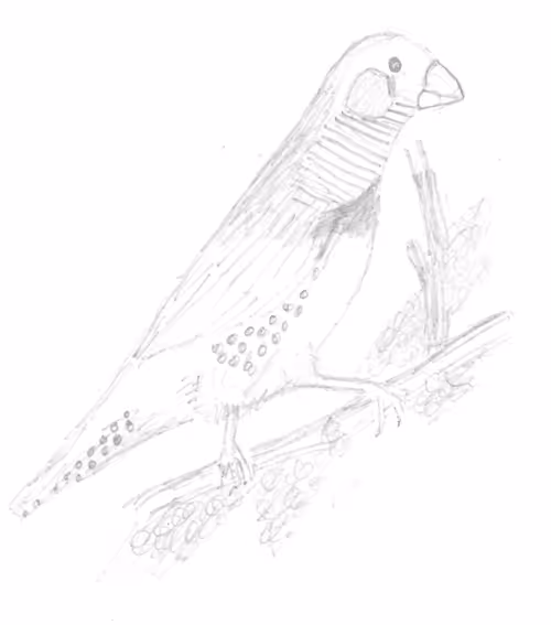 Item #23868826954703786931510511568205826115186971475765391307194903824861440770049 Media