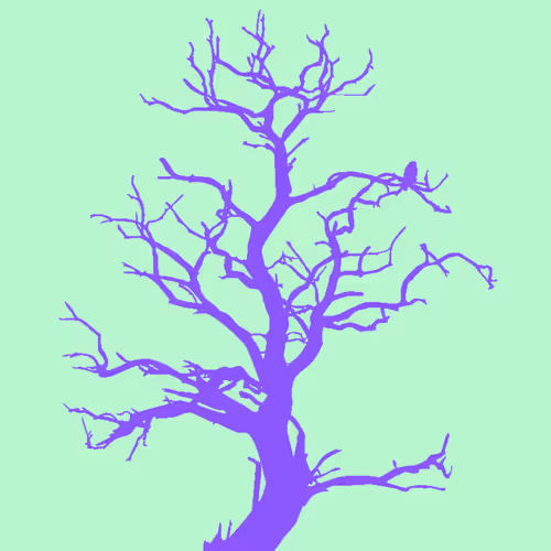 Item #28584310891482146390254294675559111591300807555565075434256981954302291476505 Media