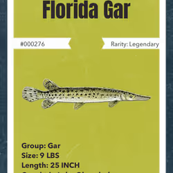 43502264269384842523243150070095810631836830099831581701628992067010153152513