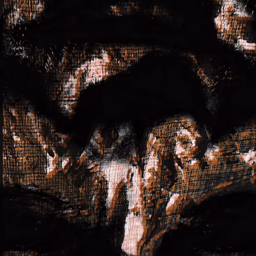 Abstract Collection #004 Visage