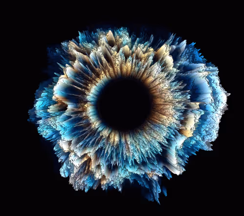 Item #47993365230904546224908061961898398429308184507692648287352000459758416953345 Media