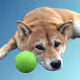 75326874550880600326490188935567191876487813911489107474527429780777293840385