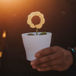 24254534113002831667604478980442589605007155413265616638335107398132503150593