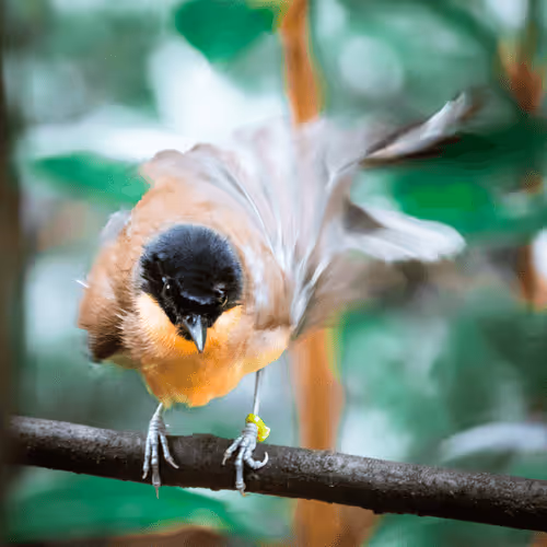 Item #108333172836631629328696584714053398631603269563571358519615745308617638674433 Media