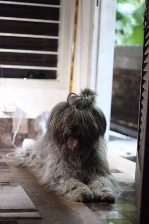 Item #67017016678430859338270992568456767398714856939663576781244227215643102937089 Media