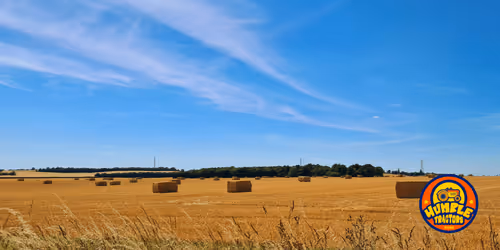 Item #35863194083128256797647772425284652682645032595179500226087347098830665416705 Media