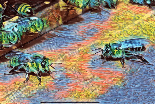 Item #101599579626109009666607068920778550362968334718480795982881728457271874158593 Media