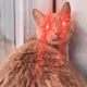 68292659029101659182329954873358944653910545887074887351008663777183499550721