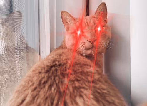 Item #68292659029101659182329954873358944653910545887074887351008663777183499550721 Media