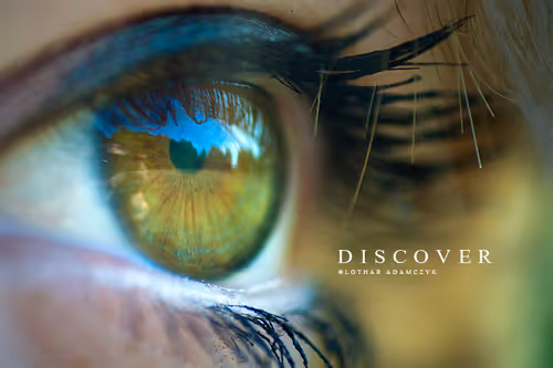 Item #113065873903366828743744079288708835697083018334279533284549130284510767742977 Media