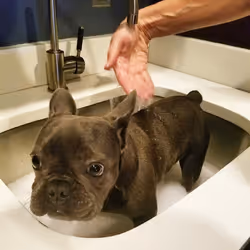 99031261785432219130552668818269695456905868997165113515571762383022905622529