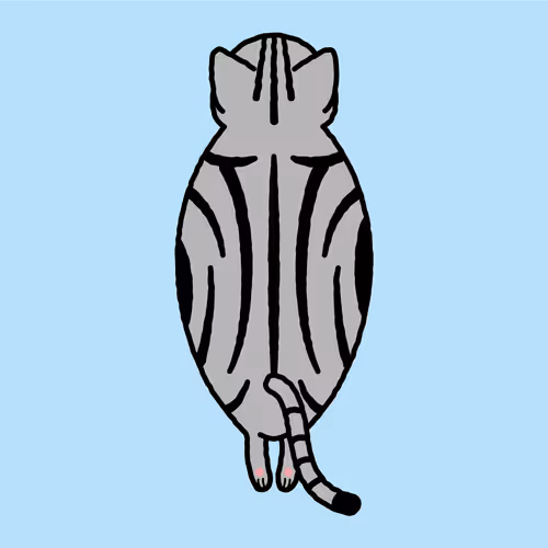 Item #111760635281471976527682699986414739964558939060344581897120873727865634422785 Media