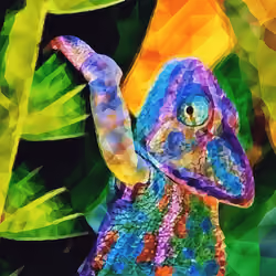 Rainbow Chameleon 