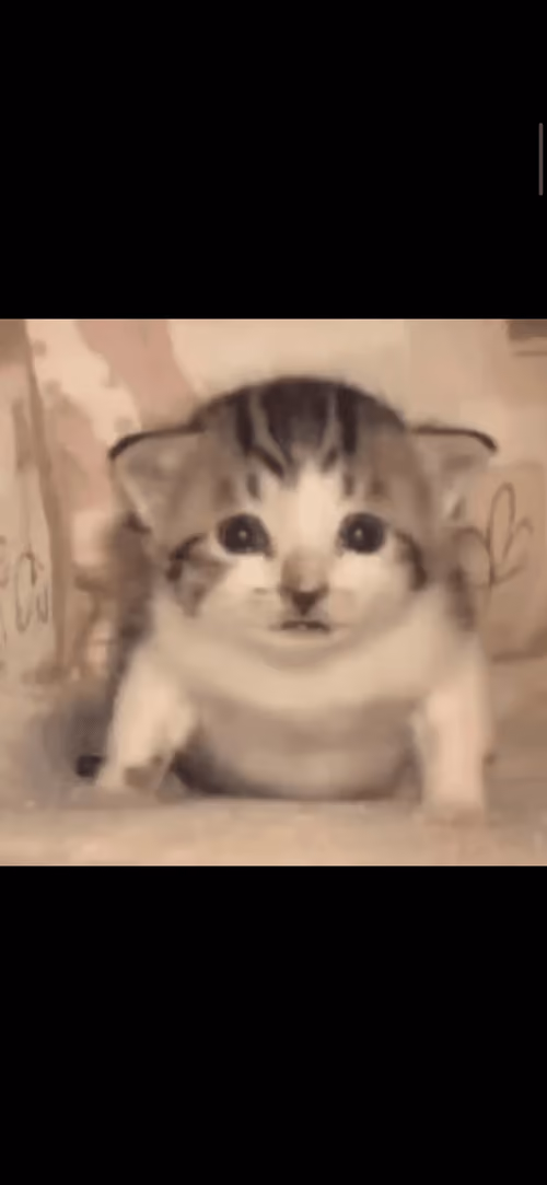 Item #27234824487803958324427286159278413103906717032324582562624179366602909679619 Media