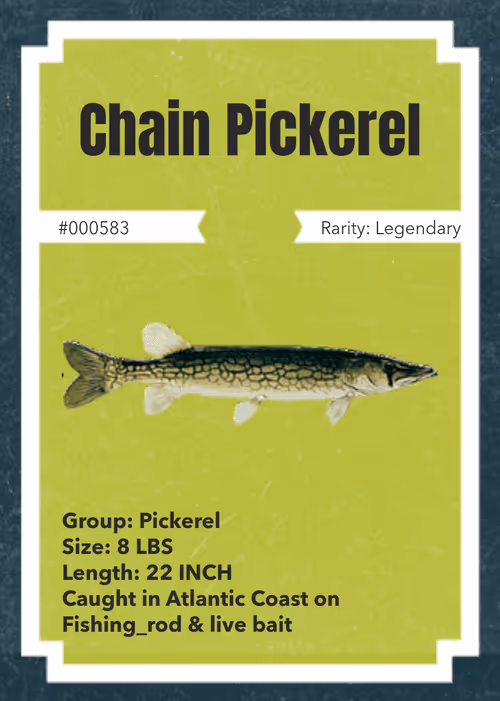 Item #43502264269384842523243150070095810631836830099831581701628992116488176402433 Media