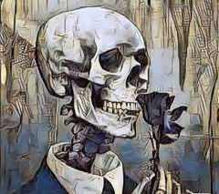 Untitled Collection #257957483