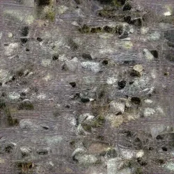 51505744279772251808310948570193708993242265706659681932624859445154413543429