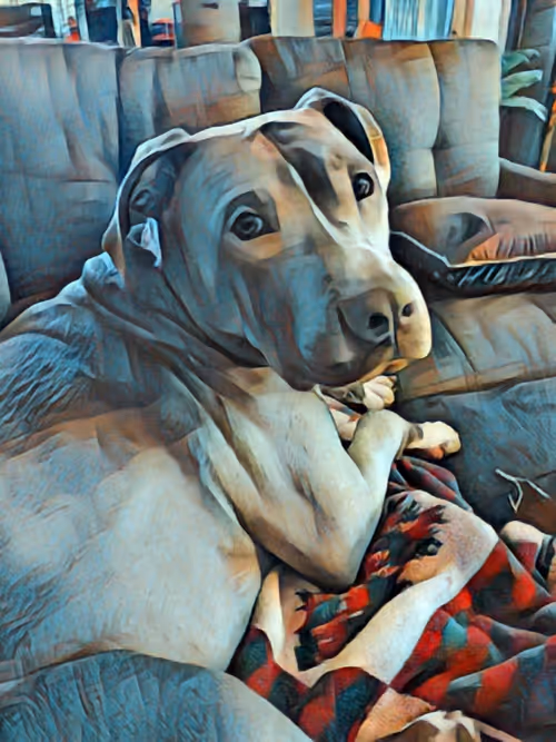 Item #96622254053708768962662743229967844294832954373334833660958647099215365275658 Media