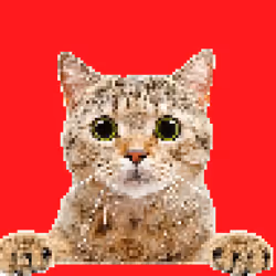 91910287960762603597667557624097333532700135261074982792072954909718015377409