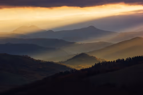 Item #5251330199677453137602023224784085473463322177594998439991548930682110607361 Media