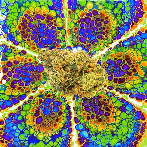 Item #13955282856406335165414100891374623718709547313428947888299033965952415825930 Media