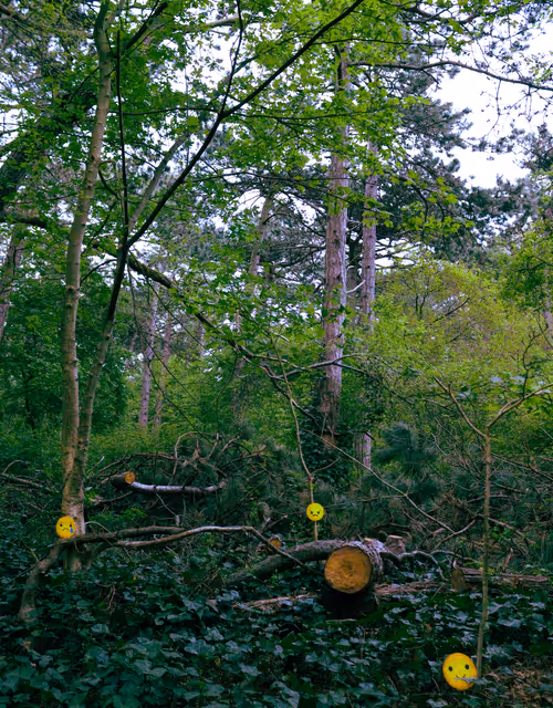 Item #46267743495132859547511032037696953227726596585589071183384476046294203236353 Media