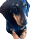 74388183107571848256633446996010033662379072698002169646249461049856341573633