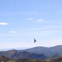 Mirage 2000 exercising over Puy Mary, 2020