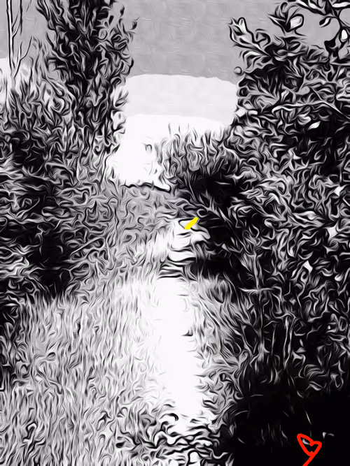 Item #92488739409829942106493513181960469638549893427874443663308882697102928379905 Media