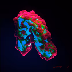 47219781875717041882224058874044362828660904572369595895633055663820594216961